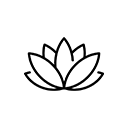 Aesthetic & High-End Wellness